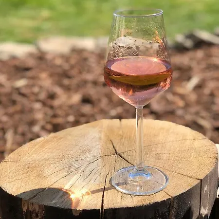 ベッド・アンド・ブレックファスト Le Nid D'hirondelle 3*