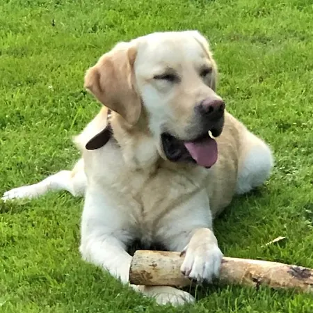 Le Nid D'hirondelle Bed & Breakfast