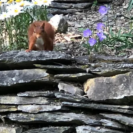 Le Nid D'hirondelle ベッド・アンド・ブレックファスト 3*