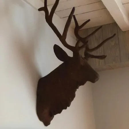Panzió Le Nid D'hirondelle Houffalize