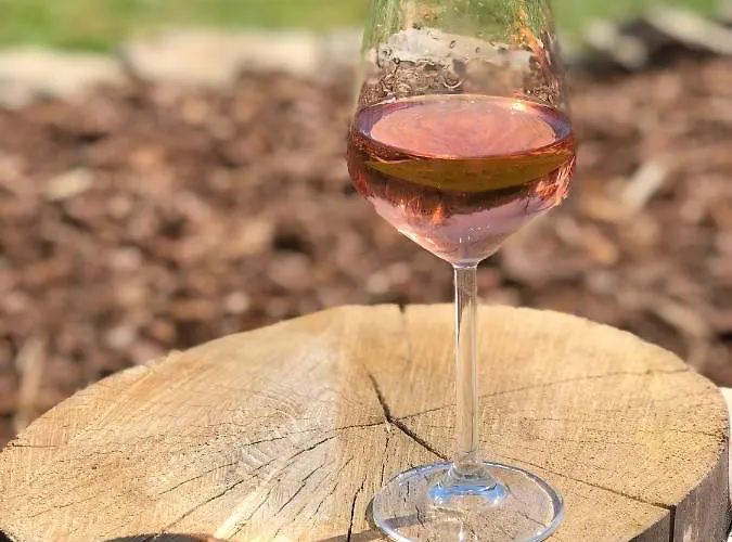 Frühstückspension Le Nid D'hirondelle 3*