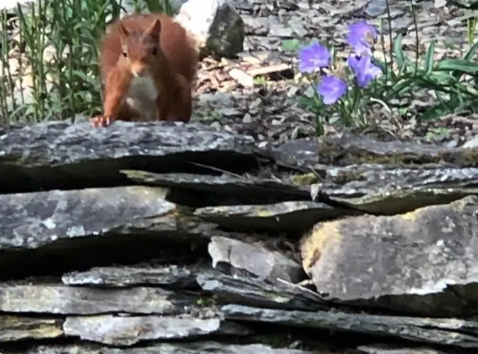 Le Nid D'hirondelle Panzió 3*