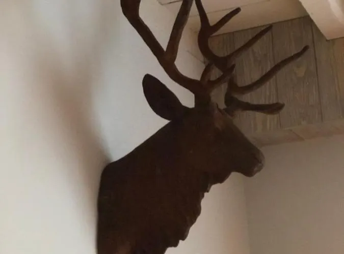 Panzió Le Nid D'hirondelle Houffalize